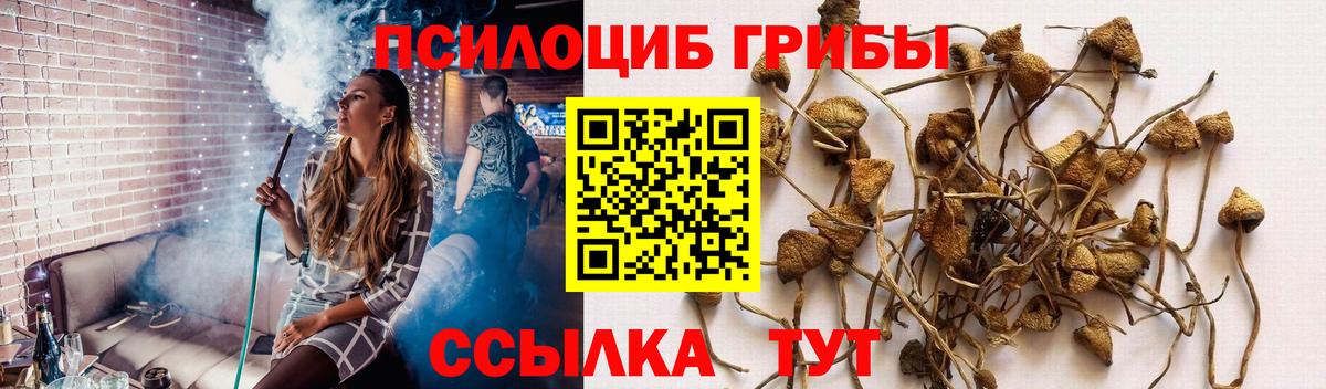 Галлюциногенные грибы прущие грибы Нягань